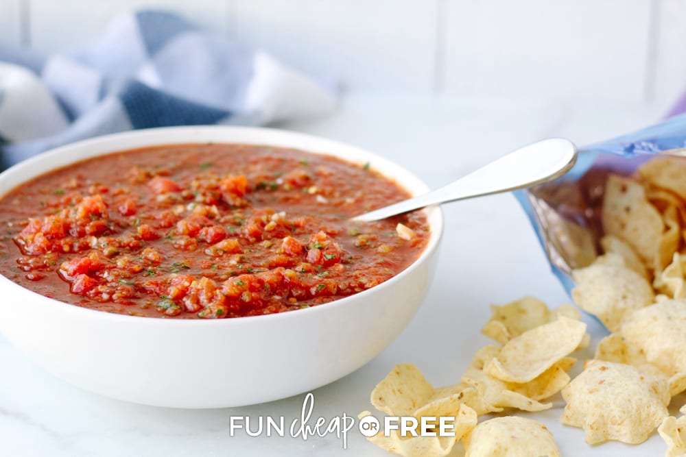 The Best Homemade Salsa Recipe Using a BLENDER!