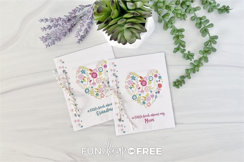 Mother’s Day Printable Gift Idea Interview Book